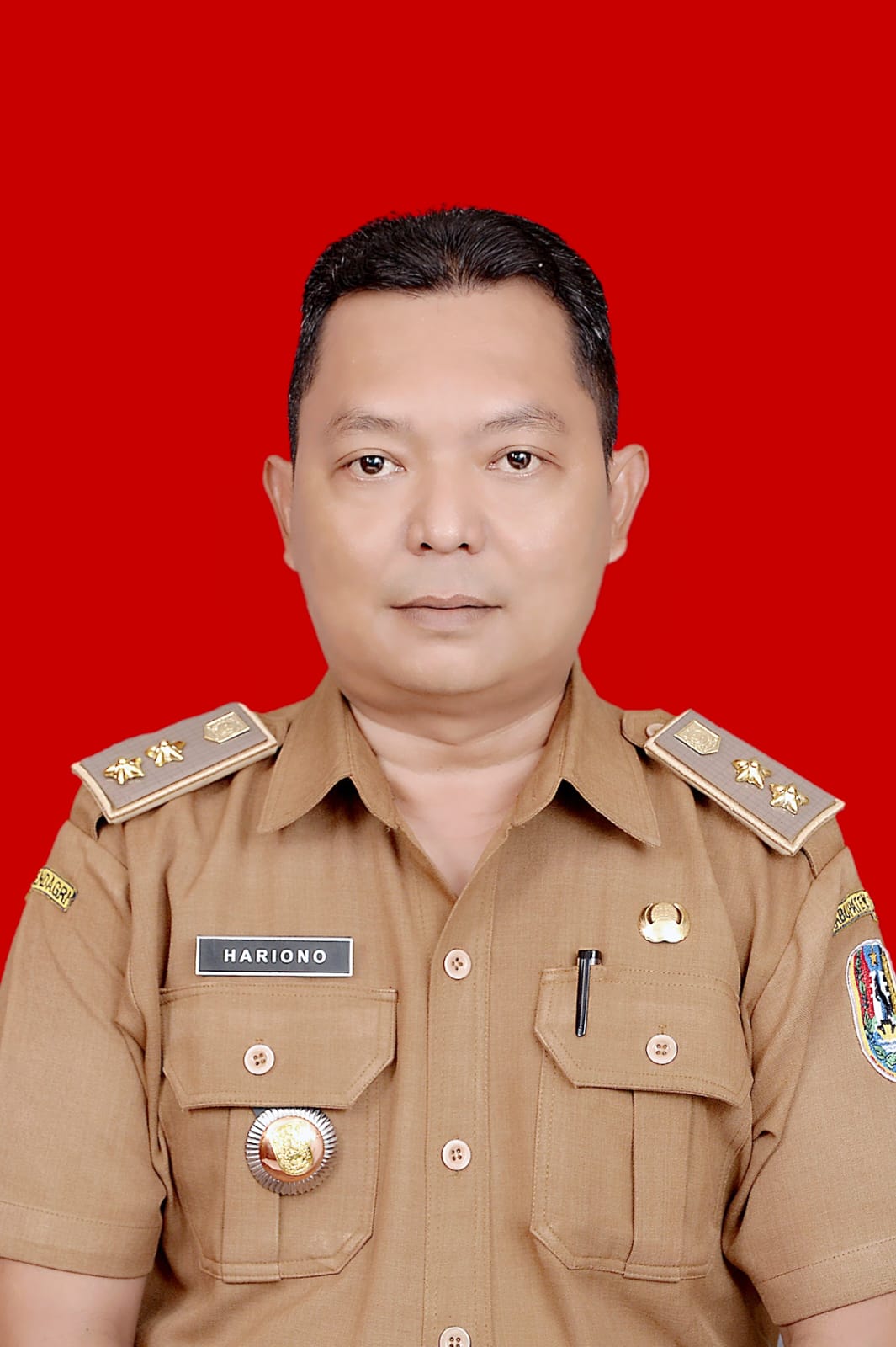 Sambutan
